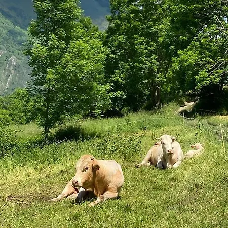 Magnifique T3 Au Pla D Adet سانت لاري سولون