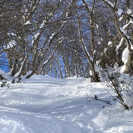 Magnifique T3 Au Pla D Adet